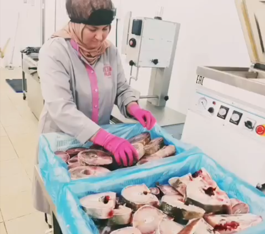 Рыбный завод будущего в Дагестане!