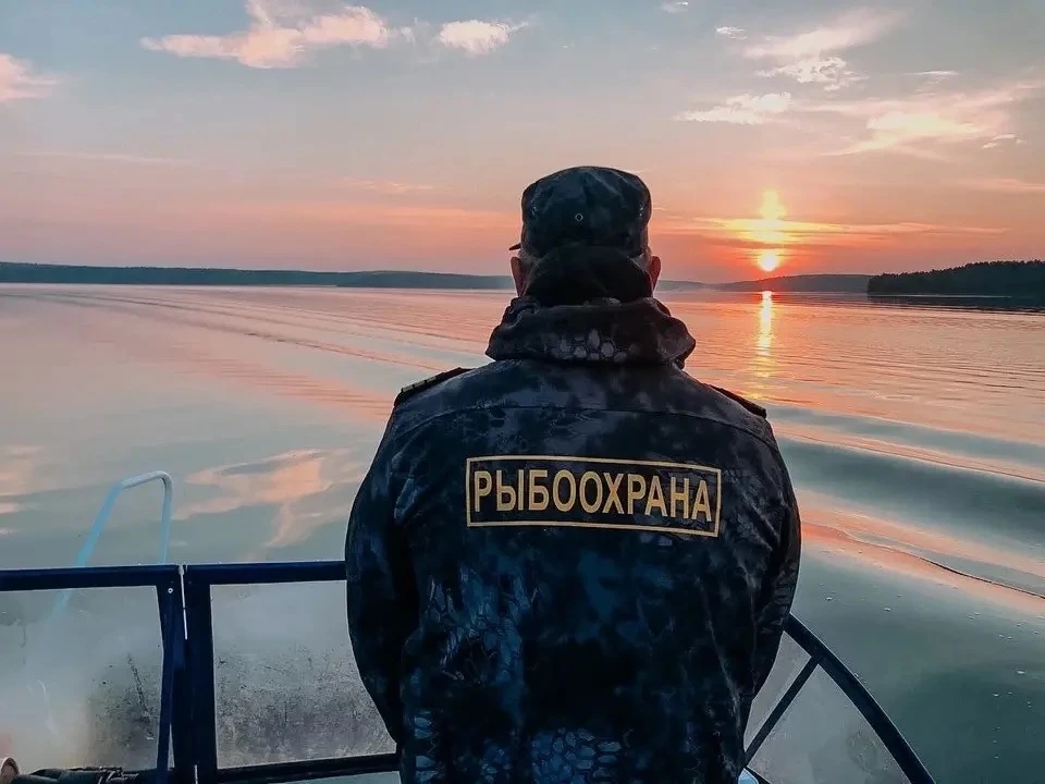 Штраф за вылов краснокнижных рыб будут выписывать инспекторы рыбоохраны Росрыболовства