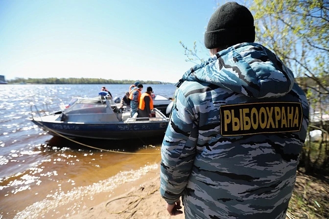 Инспекторы рыбоохраны получили больше полномочий для защиты краснокнижных рыб