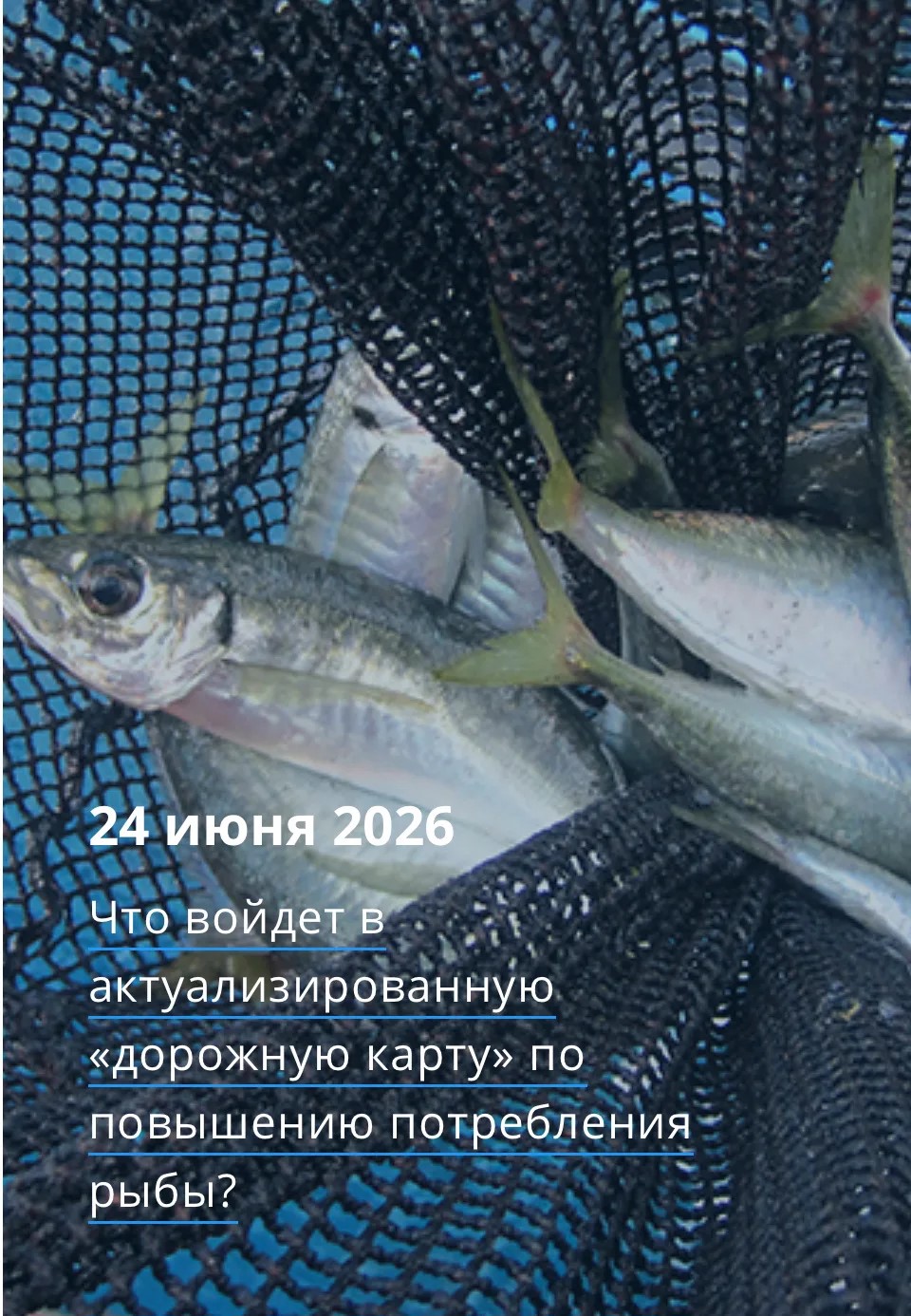 50 лет назад в нашей стране была утверждена первая «дорожная карта» по продвижению рыбопродукции.