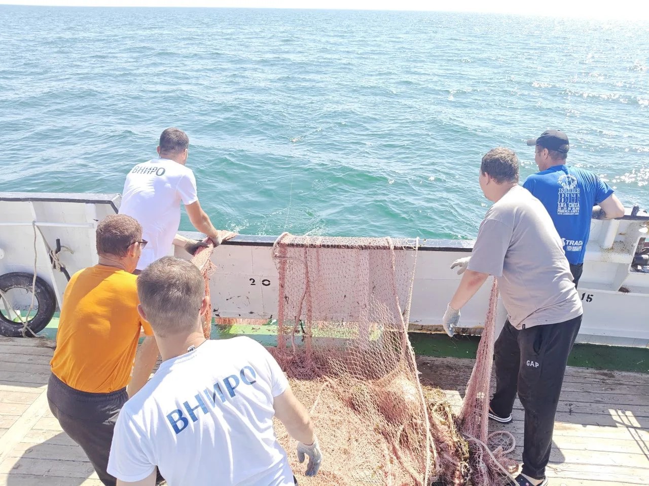 Мониторинг водных биоресурсов в северной части Каспийского моря