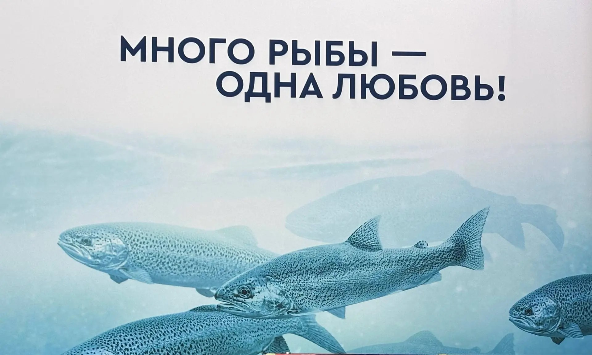 Российская рыбная продукция — в центре внимания МРФ-2026!