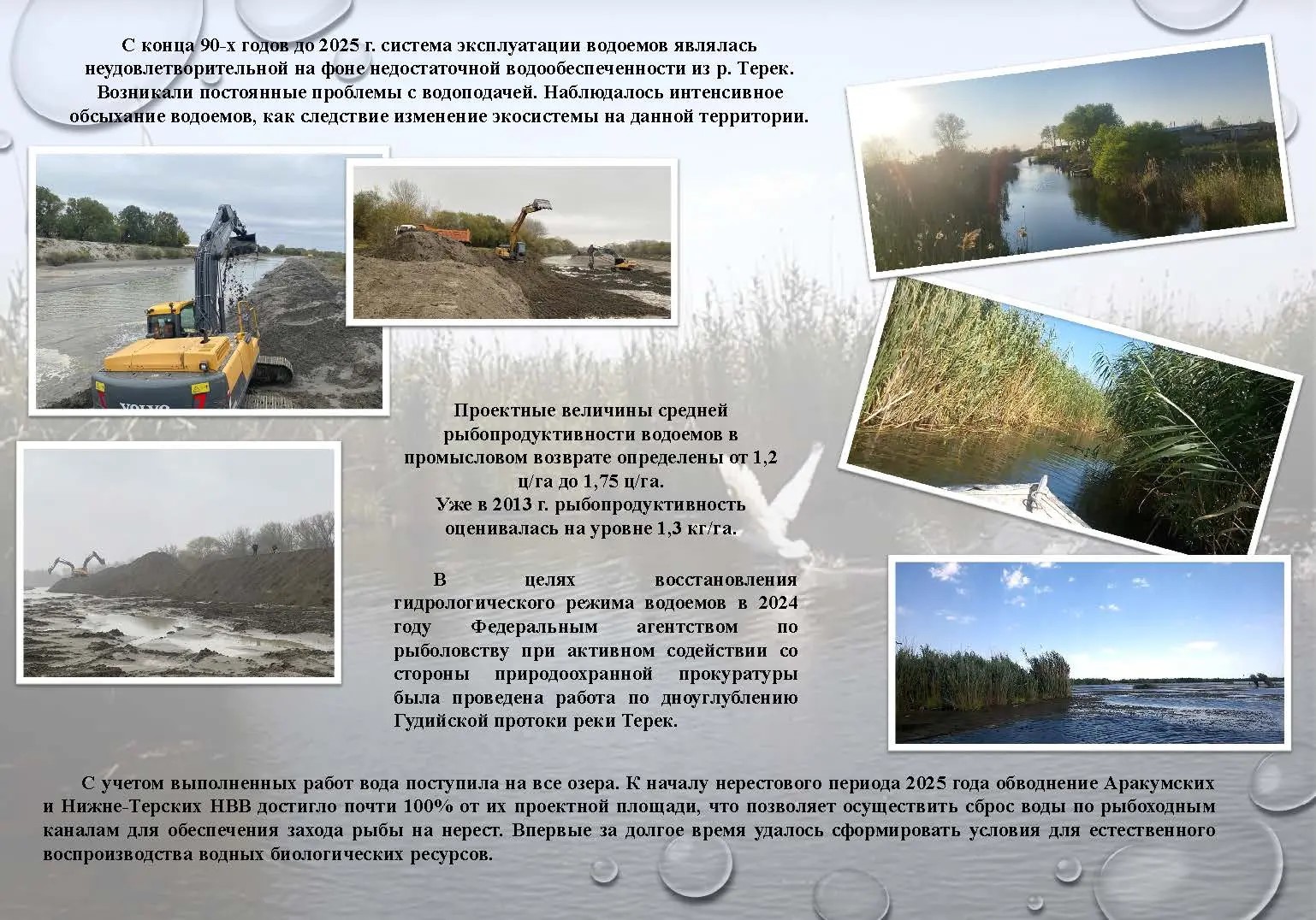 Новый этап для рыбного хозяйства Дагестана: инвестиционный проект на Аракумских и Нижне-Терских водоемах